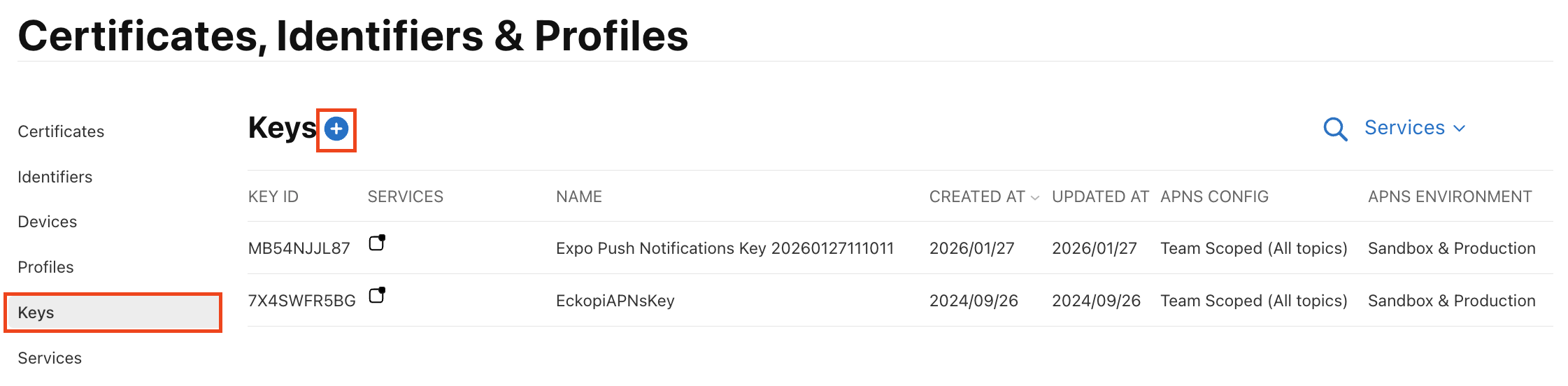 Keys - 파란색 + 버튼 클릭